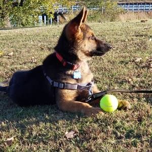 Meet your Posher, Rob